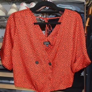 Cheetah Print Cropped Top from Topshop